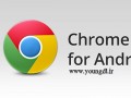 دانلود مرورگر قدرتمند Google Chrome Browser v۳۹.۰.۲۱۷۱.۵۹ برای اندروید