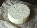 پنیر شیر الاغ، گران ترین پنیر جهان+عکس