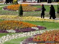 افتتاح باغ گل ها