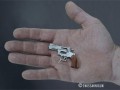 کوچک ترین تفنگ جهان | مولتی باکس