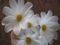 آموزش تصویری گل سفید - اصفهان امروز