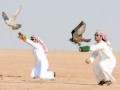 شاهزاده های قطری در صحرای نجف ربوده شدند | سایت خبری  تحلیلی اخبار مرز (مرز نیوز)