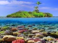 جزیره مرجان پاتایا-دیدنی های تایلند  - تور تایلند