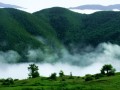 جاذبه های گردشگری : جنگل ابر شاهرود - iran easy travel