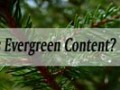 نقش و اثر محتوای همیشه‌سبز بر بازاریابی محتوا و سئو چیست ؟ Evergreen Content